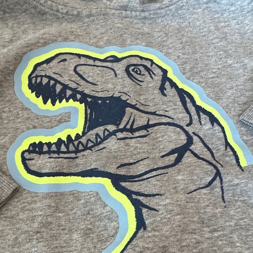 Gray Dinosaur fleece Hoodie for Kids - Picture 2 of 8